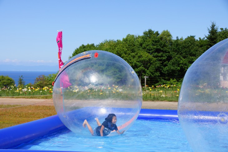 小樽オーンズ春香山ゆり園 ゲレンデ一面、ゆりの花の絨毯に。