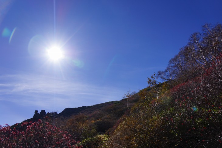 層雲峡黒岳ロープウェイ 紅の実が彩る晩秋の黒岳を登る！