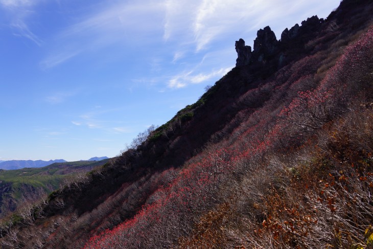 層雲峡黒岳ロープウェイ 紅の実が彩る晩秋の黒岳を登る！