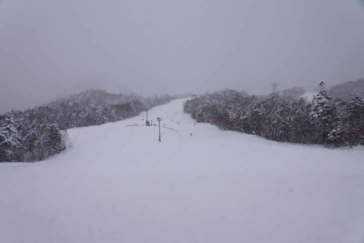 富良野スキー場