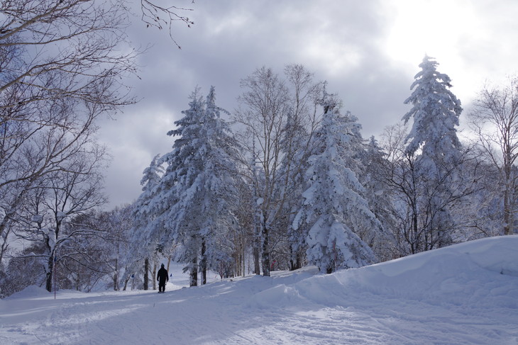 富良野スキー場