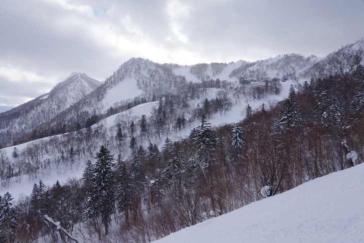 富良野スキー場