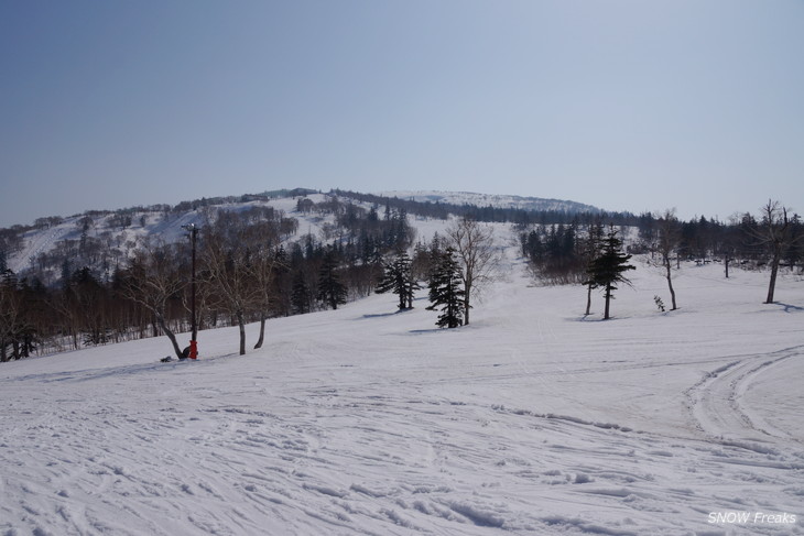 札幌国際スキー場