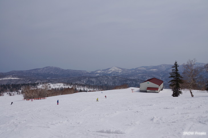 札幌国際スキー場