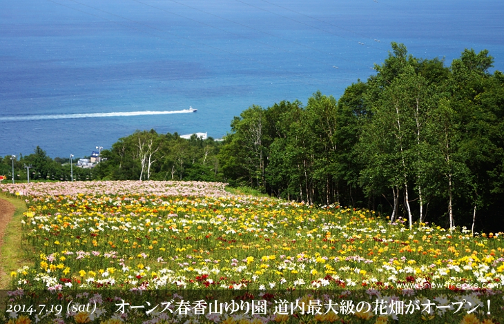 オーンズ春香山ゆり園