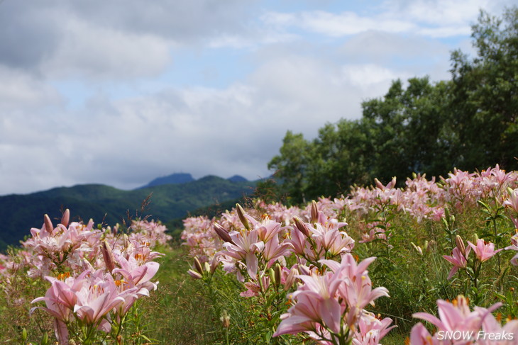 オーンズ春香山ゆり園