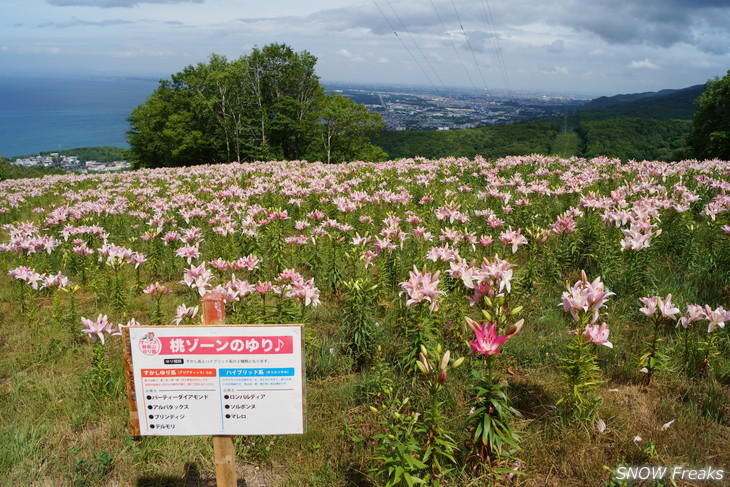 オーンズ春香山ゆり園