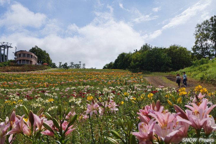 オーンズ春香山ゆり園