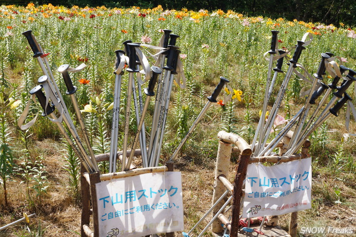 オーンズ春香山ゆり園