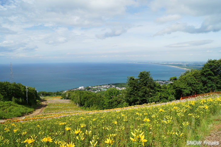 オーンズ春香山ゆり園