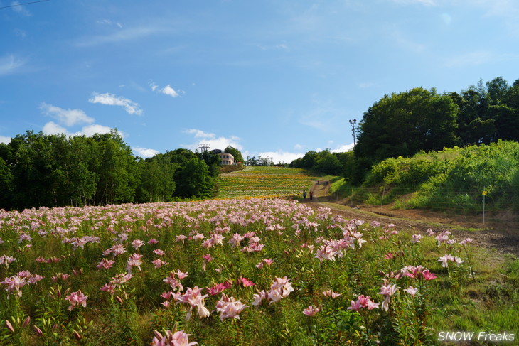 オーンズ春香山ゆり園