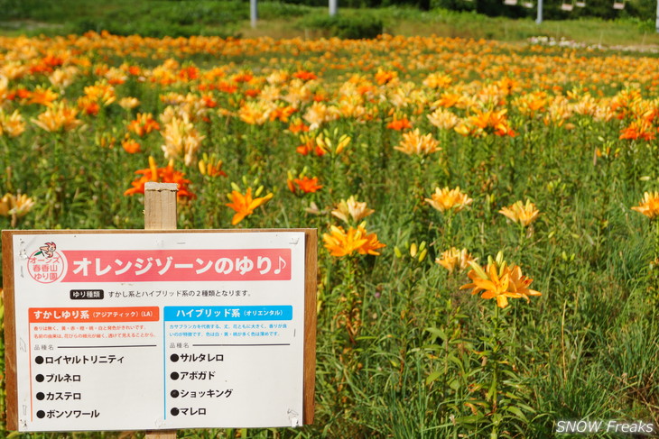 オーンズ春香山ゆり園