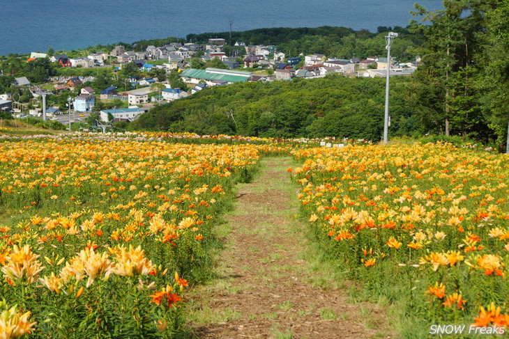 オーンズ春香山ゆり園