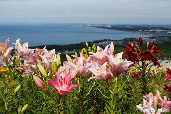 オーンズ春香山ゆり園