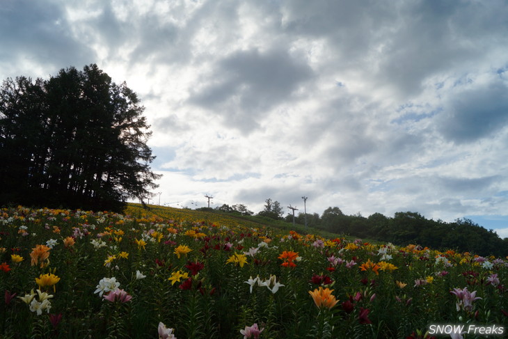 オーンズ春香山ゆり園