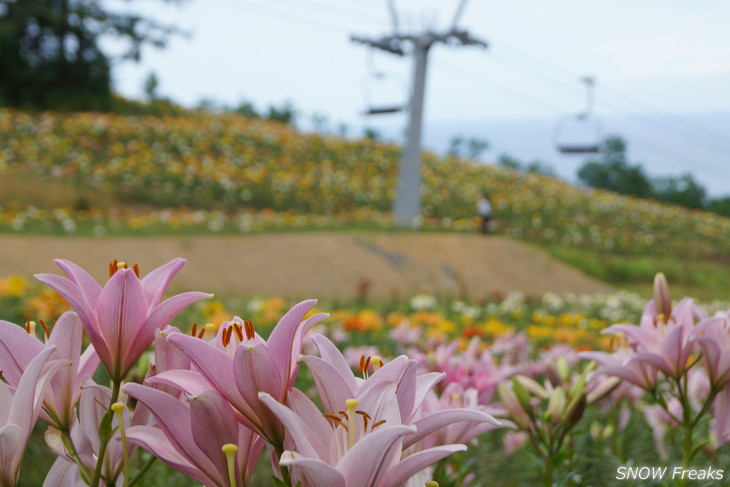 オーンズ春香山ゆり園