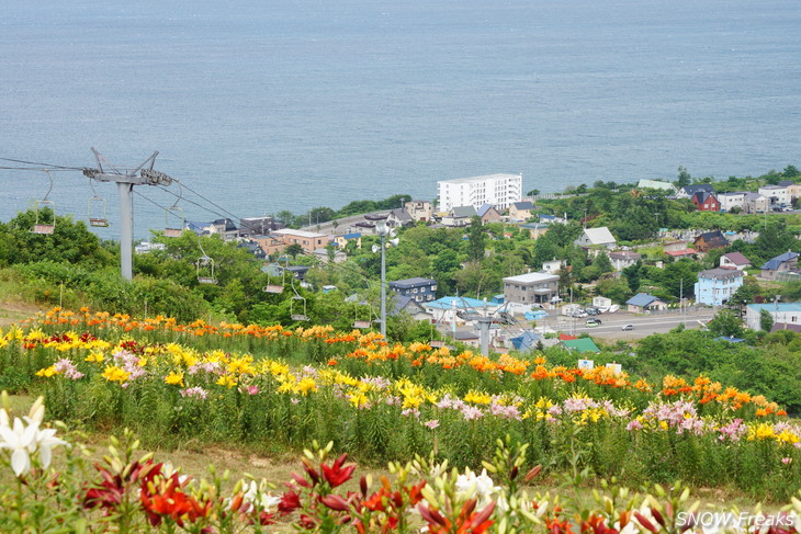 オーンズ春香山ゆり園