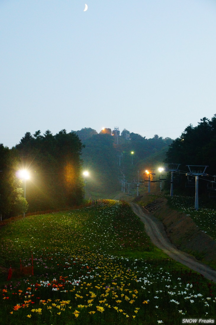 オーンズ春香山ゆり園