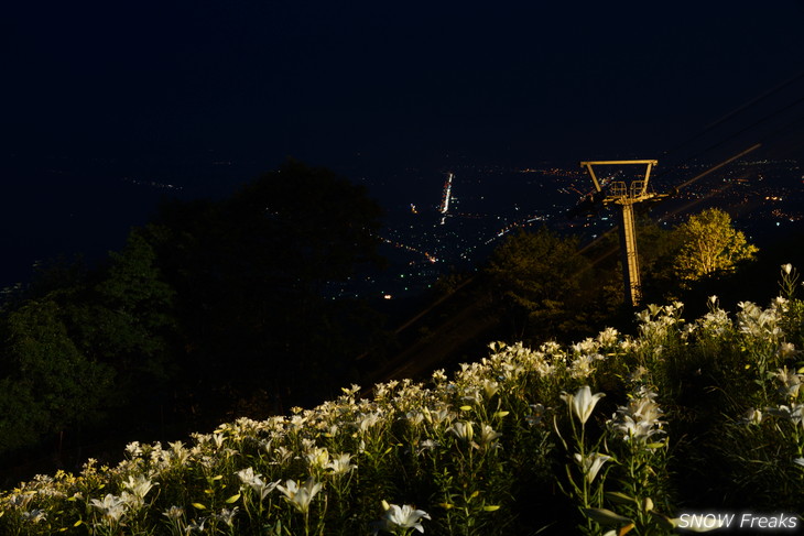 オーンズ春香山ゆり園