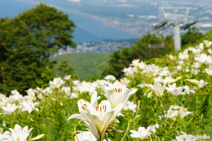 オーンズ春香山ゆり園