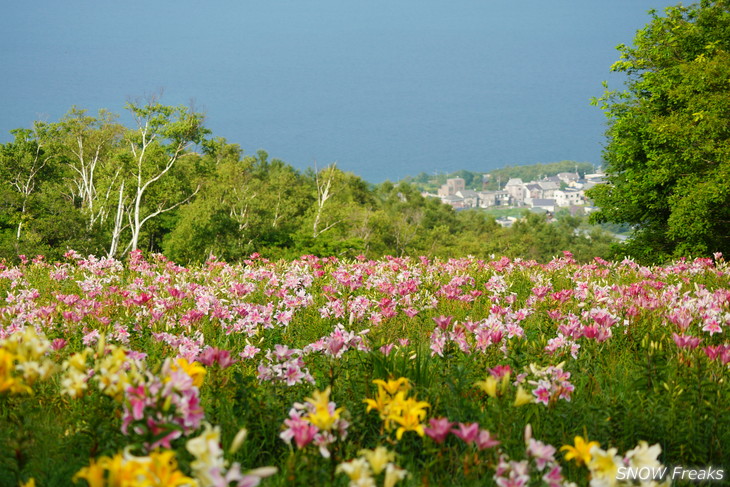 オーンズ春香山ゆり園