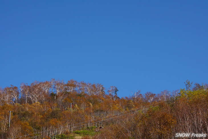 手稲山　秋の晴天に映える、極彩の紅葉。