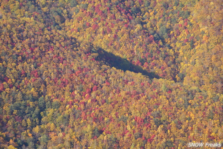手稲山　秋の晴天に映える、極彩の紅葉。