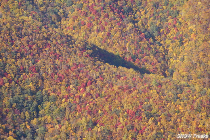 手稲山　秋の晴天に映える、極彩の紅葉。