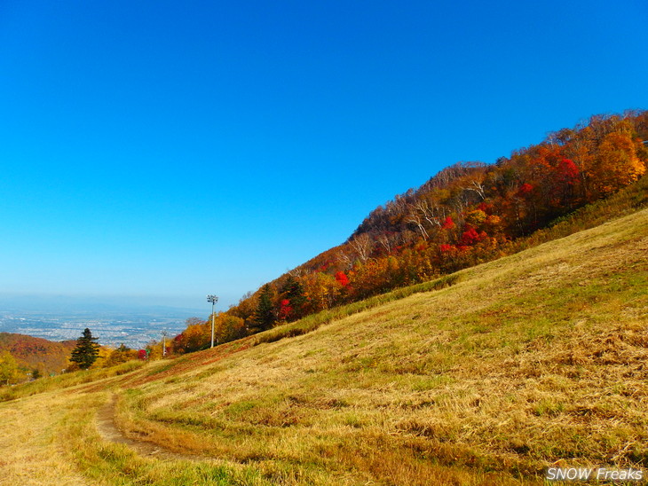 手稲山　秋の晴天に映える、極彩の紅葉。