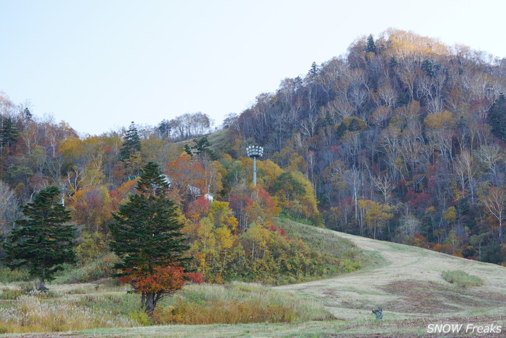 手稲山　秋の晴天に映える、極彩の紅葉。