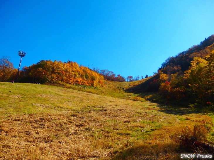 手稲山　秋の晴天に映える、極彩の紅葉。