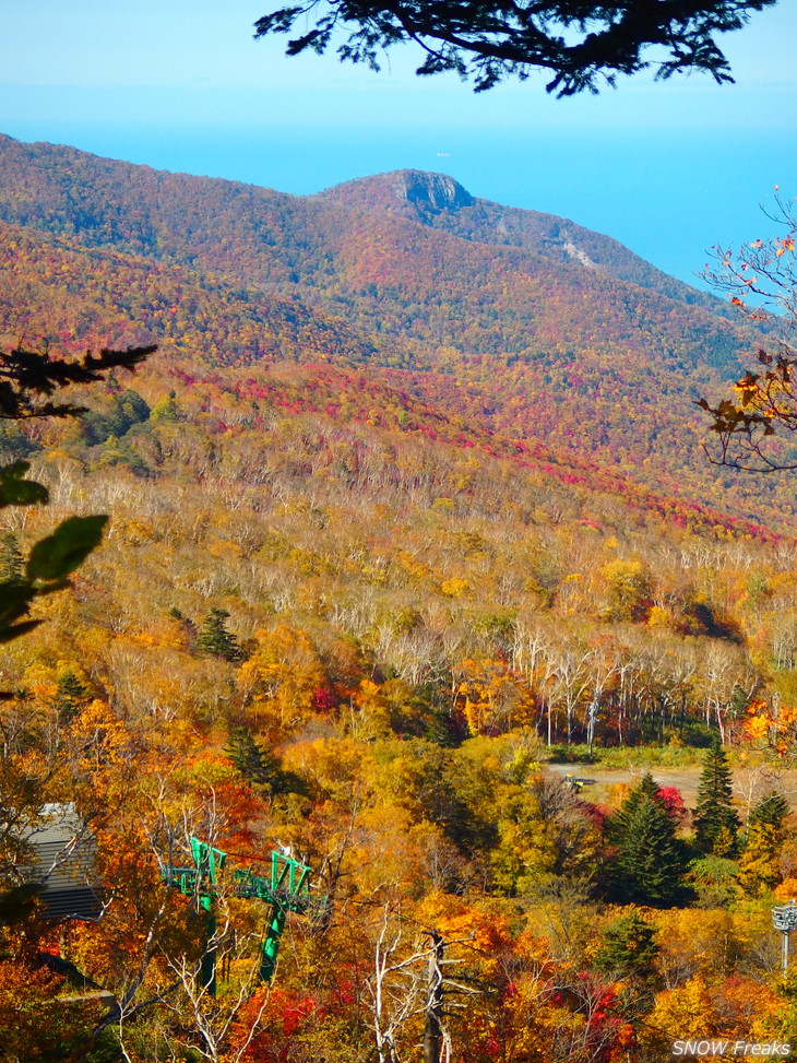 手稲山　秋の晴天に映える、極彩の紅葉。