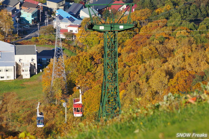 小樽天狗山 紅葉前線は、いよいよ山麓へ。