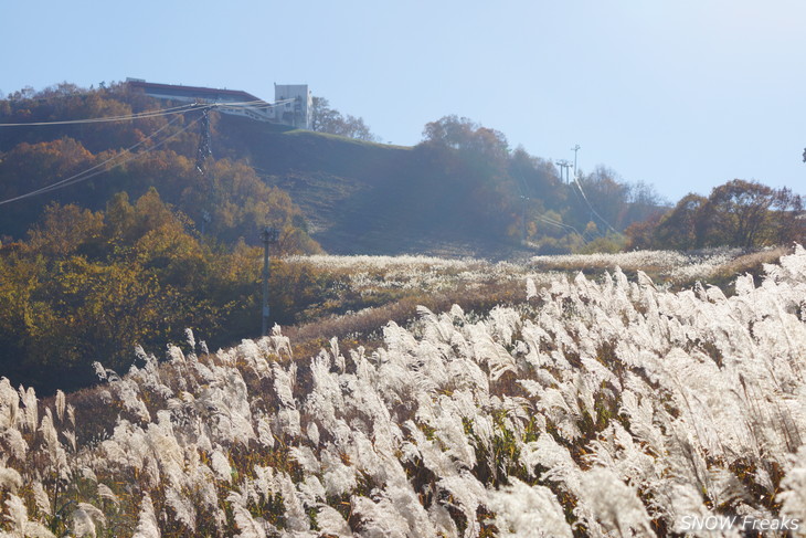 小樽天狗山 紅葉前線は、いよいよ山麓へ。