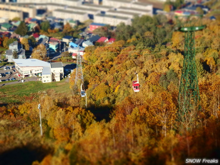 小樽天狗山 紅葉前線は、いよいよ山麓へ。