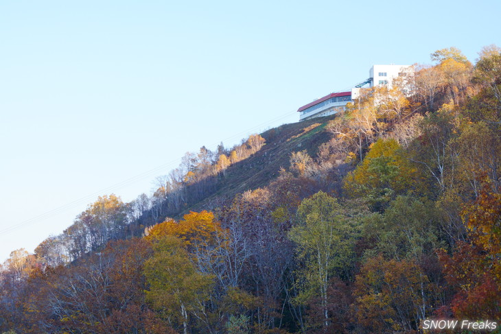 小樽天狗山 紅葉前線は、いよいよ山麓へ。