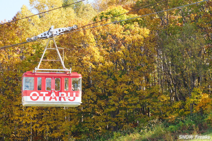 小樽天狗山 紅葉前線は、いよいよ山麓へ。