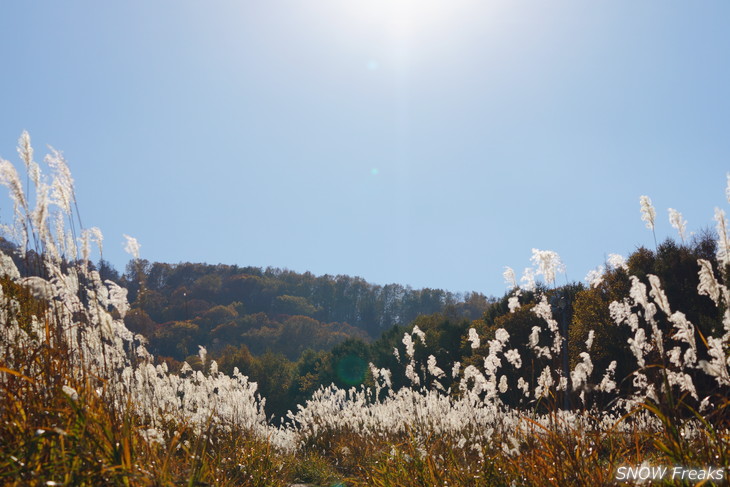 小樽天狗山 紅葉前線は、いよいよ山麓へ。