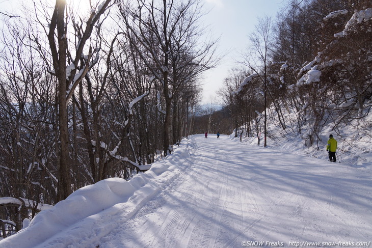 札幌藻岩山スキー場