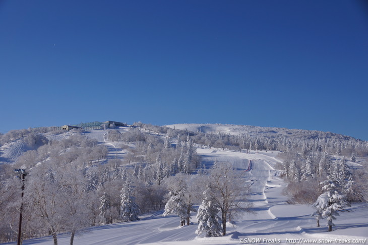 札幌国際スキー場