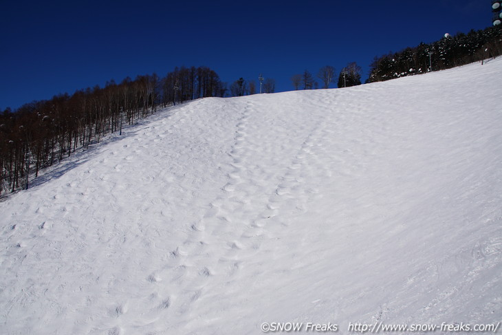 札幌藻岩山スキー場