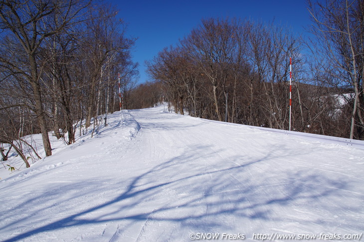 札幌藻岩山スキー場