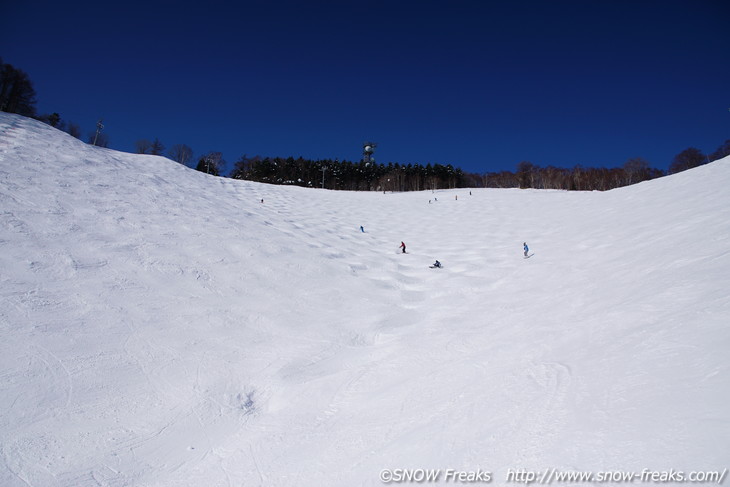 札幌藻岩山スキー場