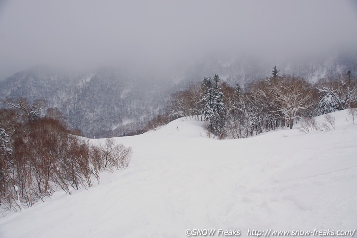 札幌国際スキー場