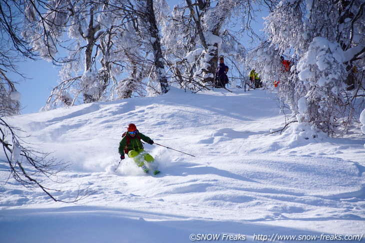 『DYNASTAR CHAM series TEST RIDE DAYS 2016』カムイスキーリンクス会場！