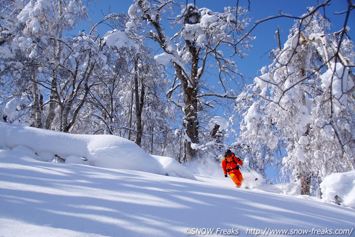 『DYNASTAR CHAM series TEST RIDE DAYS 2016』カムイスキーリンクス会場！