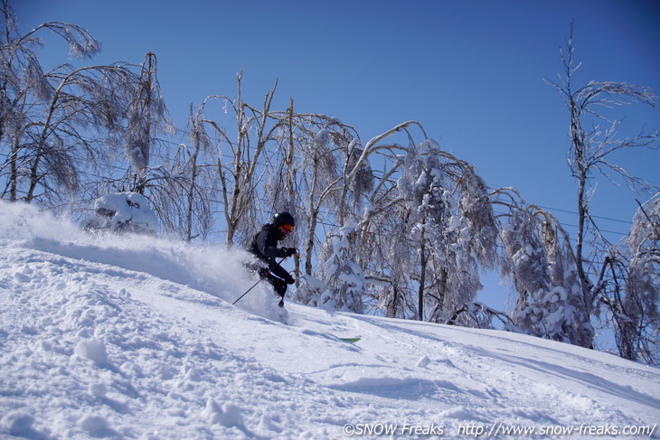 『DYNASTAR CHAM series TEST RIDE DAYS 2016』カムイスキーリンクス会場！