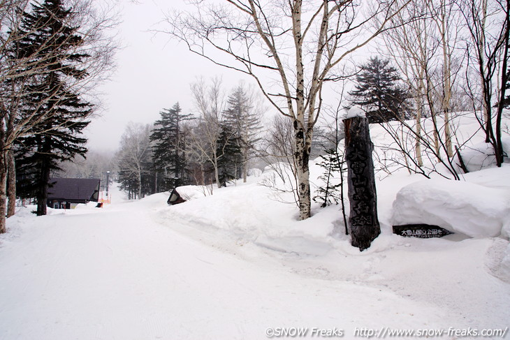 層雲峡黒岳ロープウェイスキー場 冬から春へ、季節の移ろいを楽しむべし。