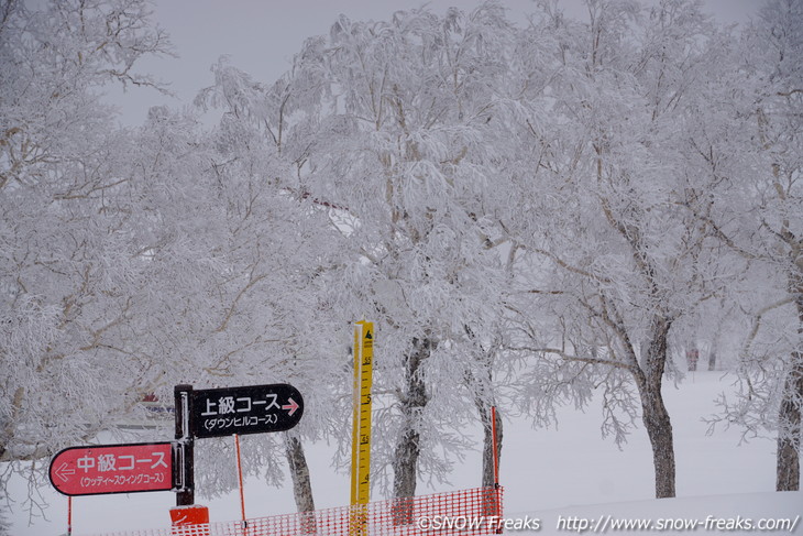 札幌国際スキー場 『LOVE SKI HOKKAIDO』最終回のTV撮影に密着！