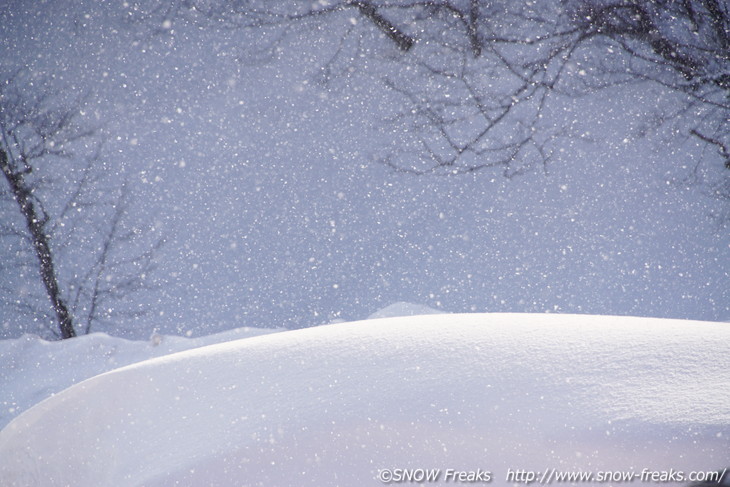 札幌国際スキー場 『LOVE SKI HOKKAIDO』最終回のTV撮影に密着！